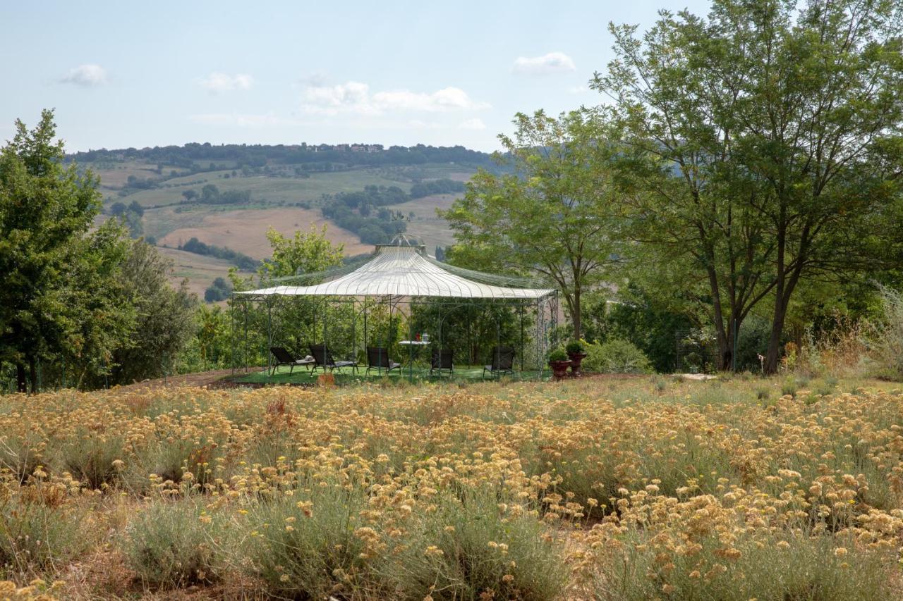 Agriturismo Alchimista Villa Casole dʼElsa Exterior foto