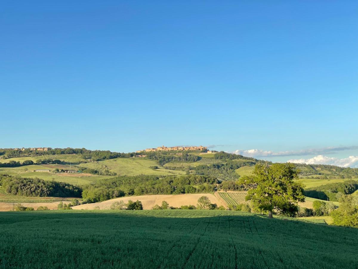 Agriturismo Alchimista Villa Casole dʼElsa Exterior foto